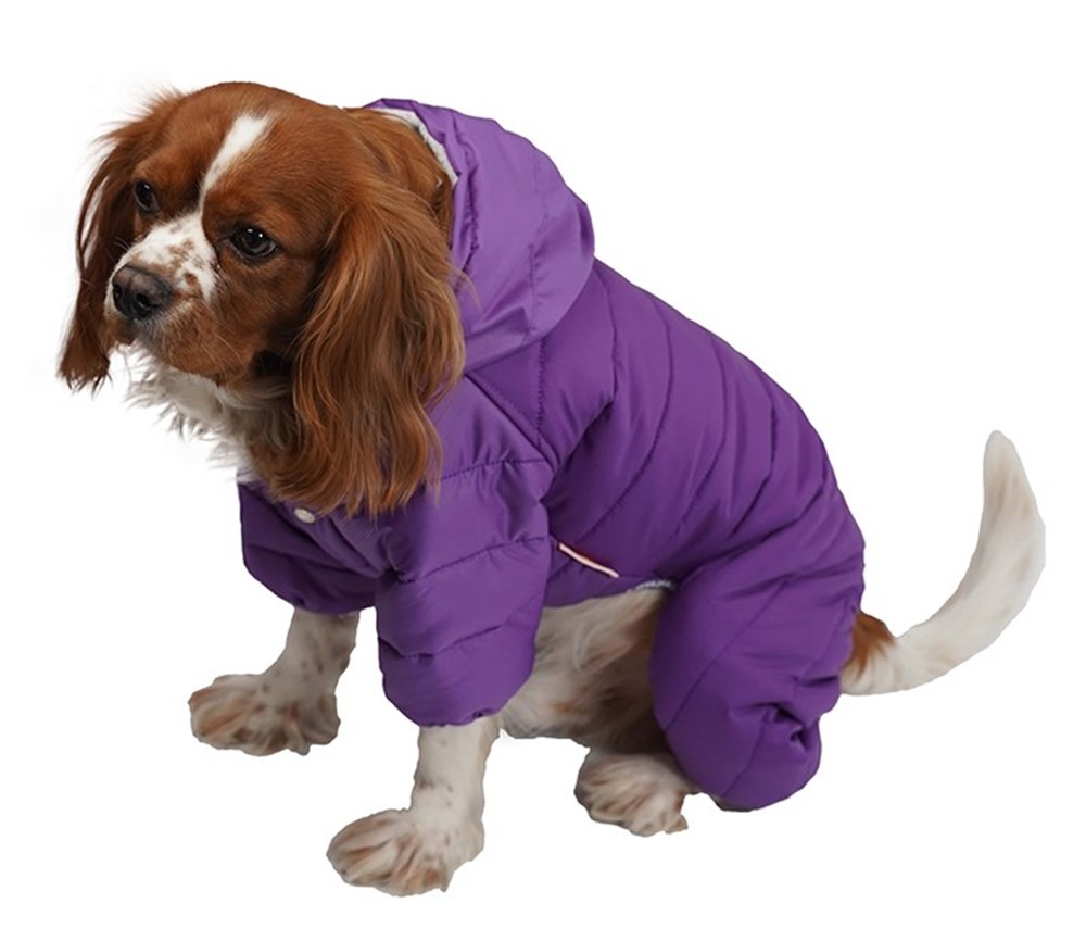 Pawstar Sport Küçük Irk Köpek Yağmurluk Tulumu Mor