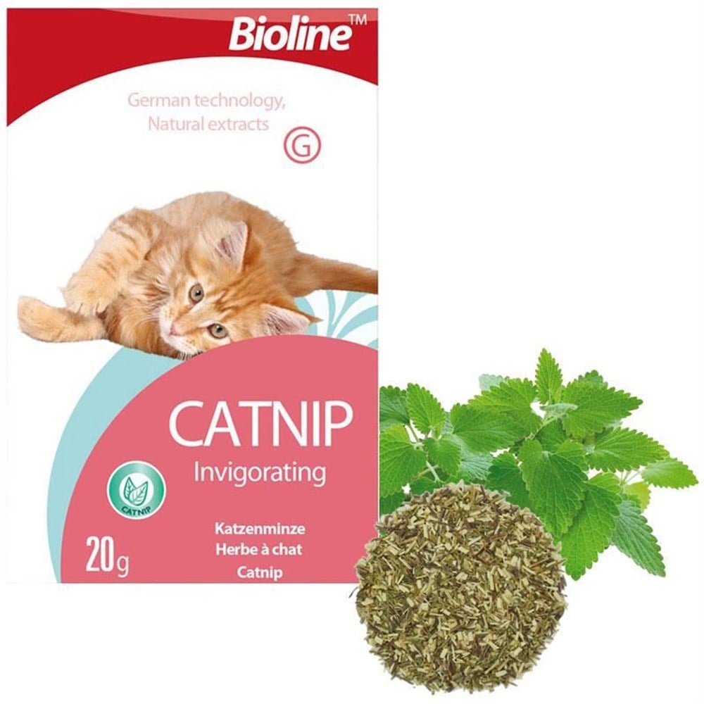 Bioline Catnip Kedi Otu 20 g
