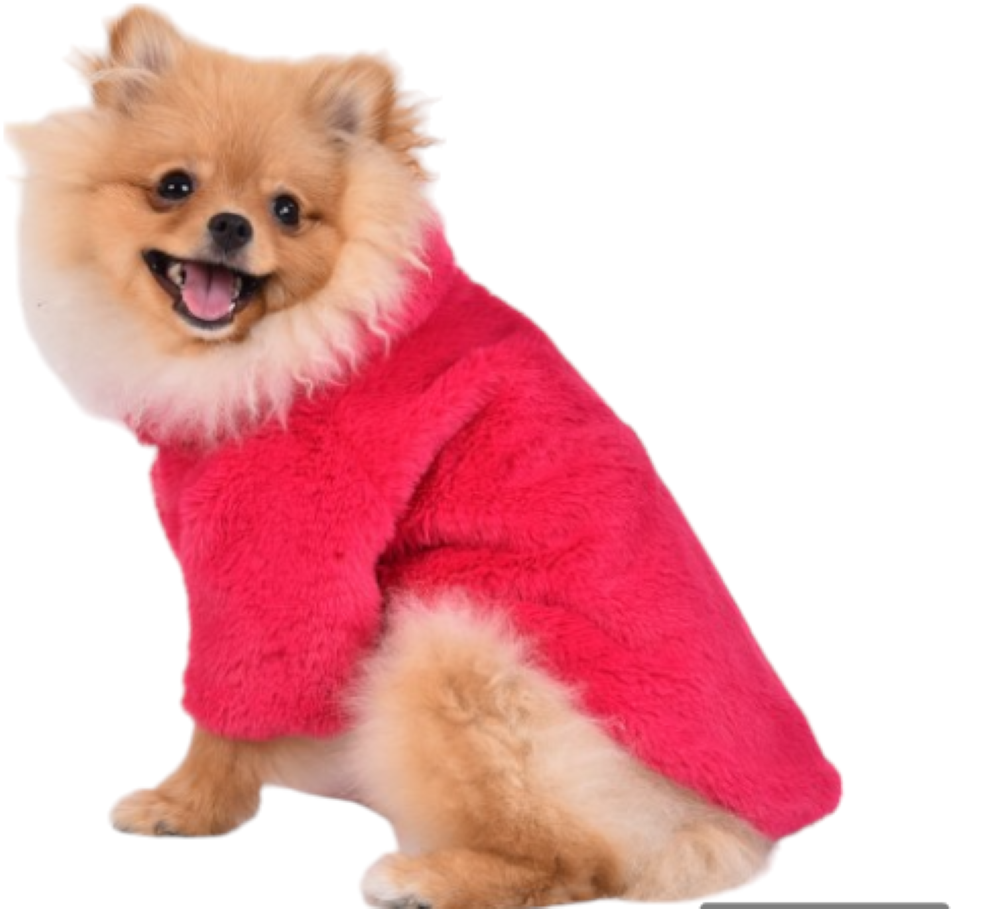 Gedyco Toscano Fuşya Küçük Irk Köpek Peluş Kaban (2,5 kg-8 kg arasına uygun)