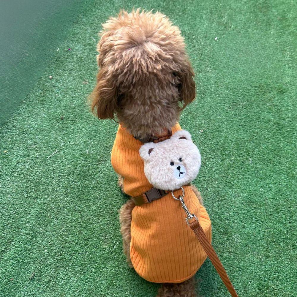 Teddy Kedi ve Köpek Gezdirme ve Göğüs Tasma Seti (Göğüs: 30 cm - 50 cm)