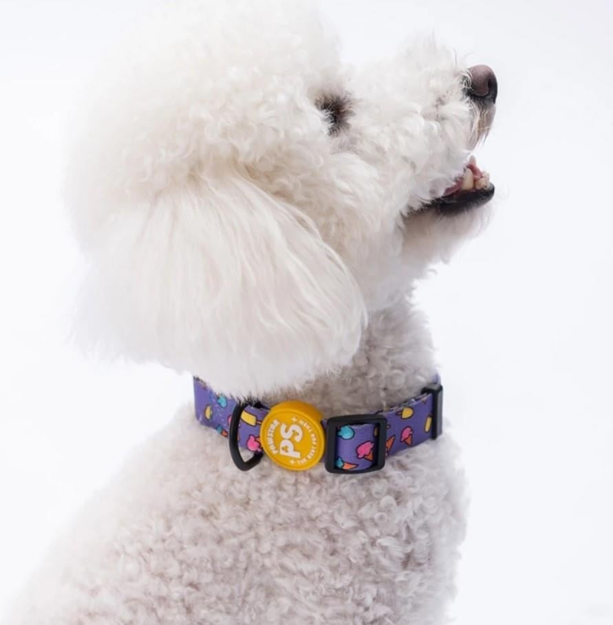 Pawstar Ice Cream Boyun Tasması M (Boyun çevresi: 32 cm x 48 cm)