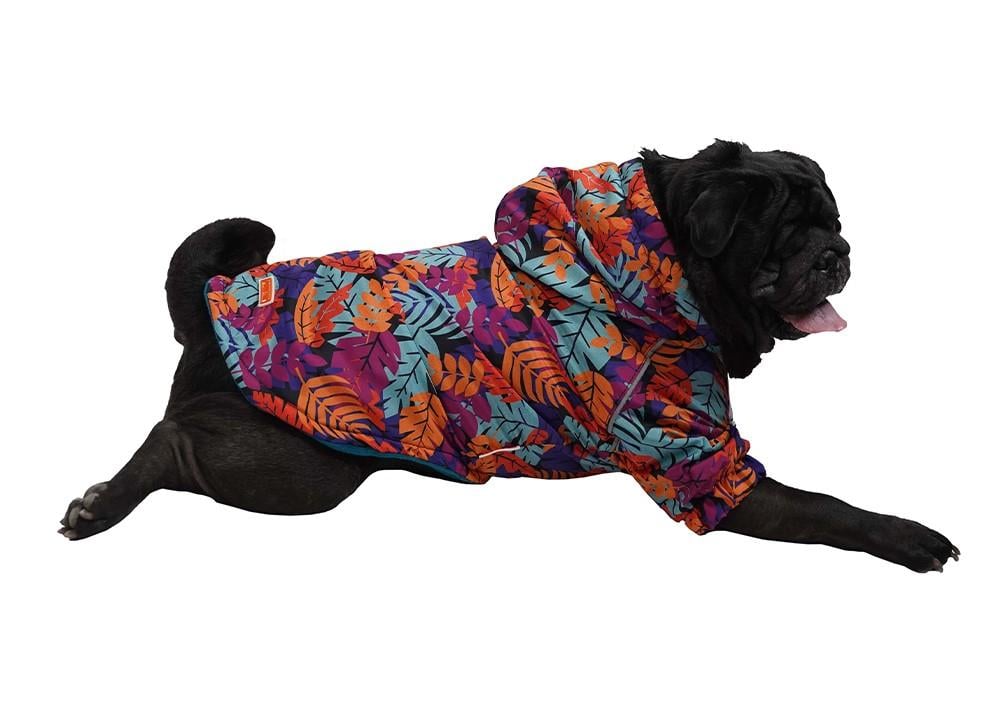 Pawstar Folium İçi Polar Küçük Irk Köpek Yağmurluğu