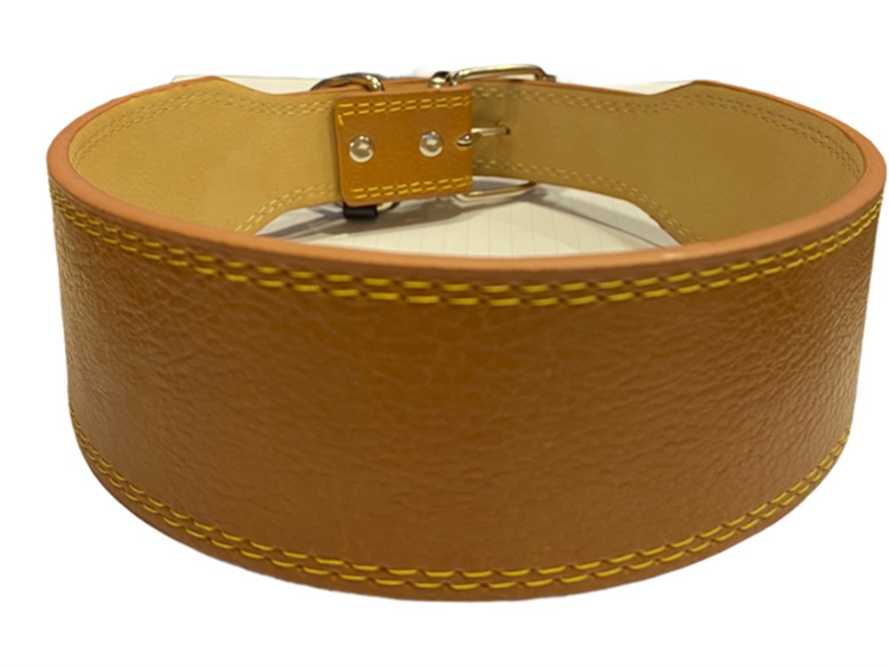 Taba Geniş Deri Boyun Tasması 5 cm x 65 cm