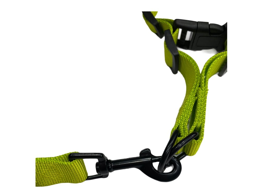 Sarı - Gri Köpek Tasma Seti 2 cm - 120 cm 