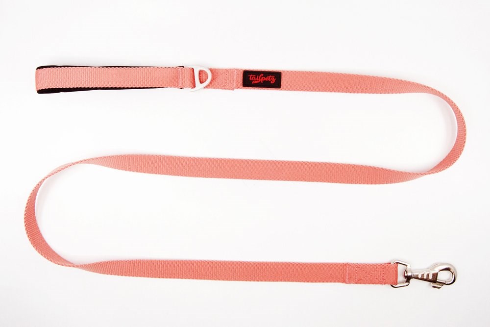 Tailpetz Salmon Gezdirme Kayışı 120 cm x 2 cm