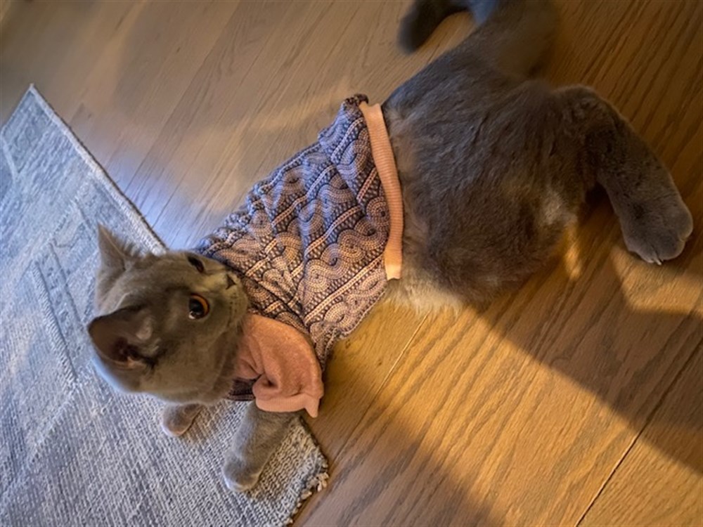 Saç Örgü Desenli Gri-Somon Triko Kazak