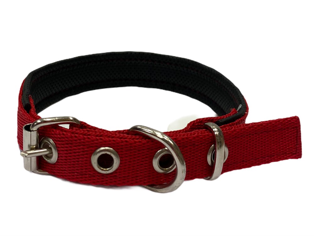 Kırmızı Köpek Boyun Tasması 2 cm x 40-46 cm