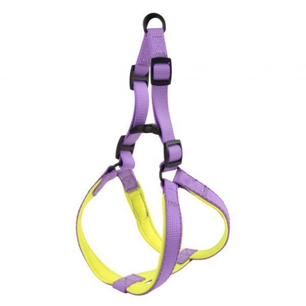 Mor - Sarı Köpek Tasma Seti 2 cm - 120 cm (45 cm göğüs)