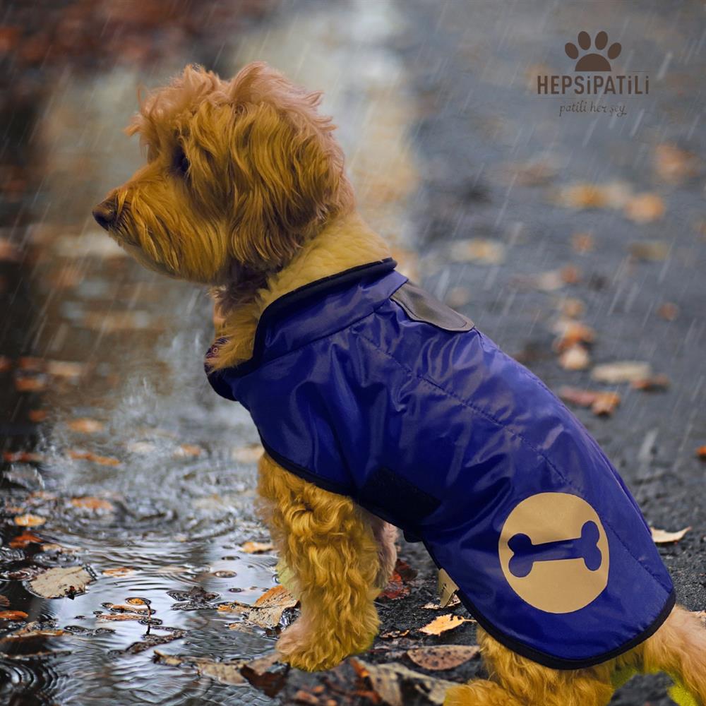 Pratik Giyim Reflektörlü İnce Küçük Köpek Yağmurluğu (4,5 kg-14 kg arasına uygun) Sax