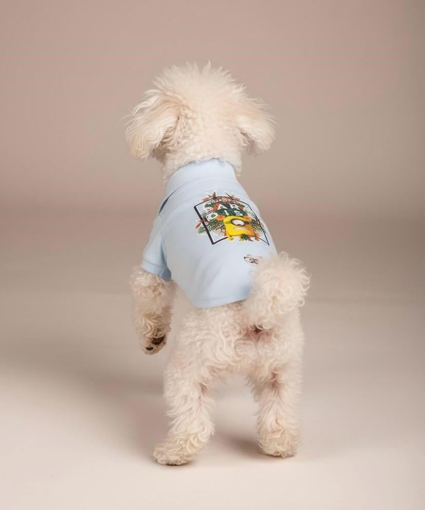 Miniş Paradise Küçük Irk Köpek Pike Kumaş Polo T-shirt