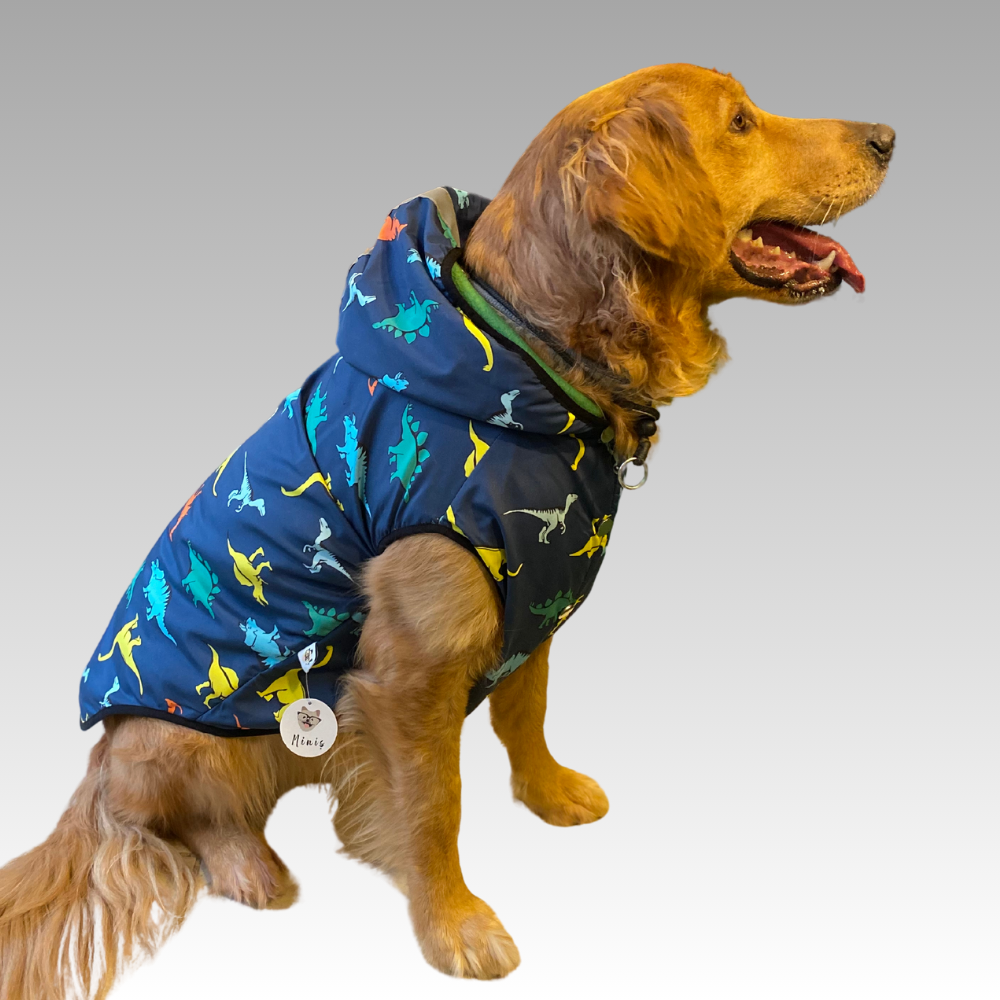 Dino Polarlı Orta-Büyük Irk Köpek Yağmurluğu