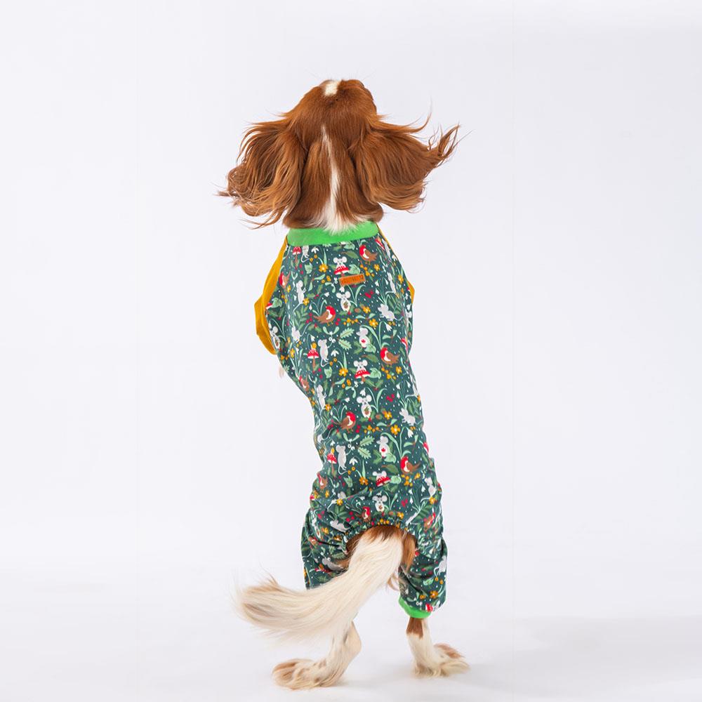 Pawstar Küçük Irk Köpek Mice Penye Tulum Pijama