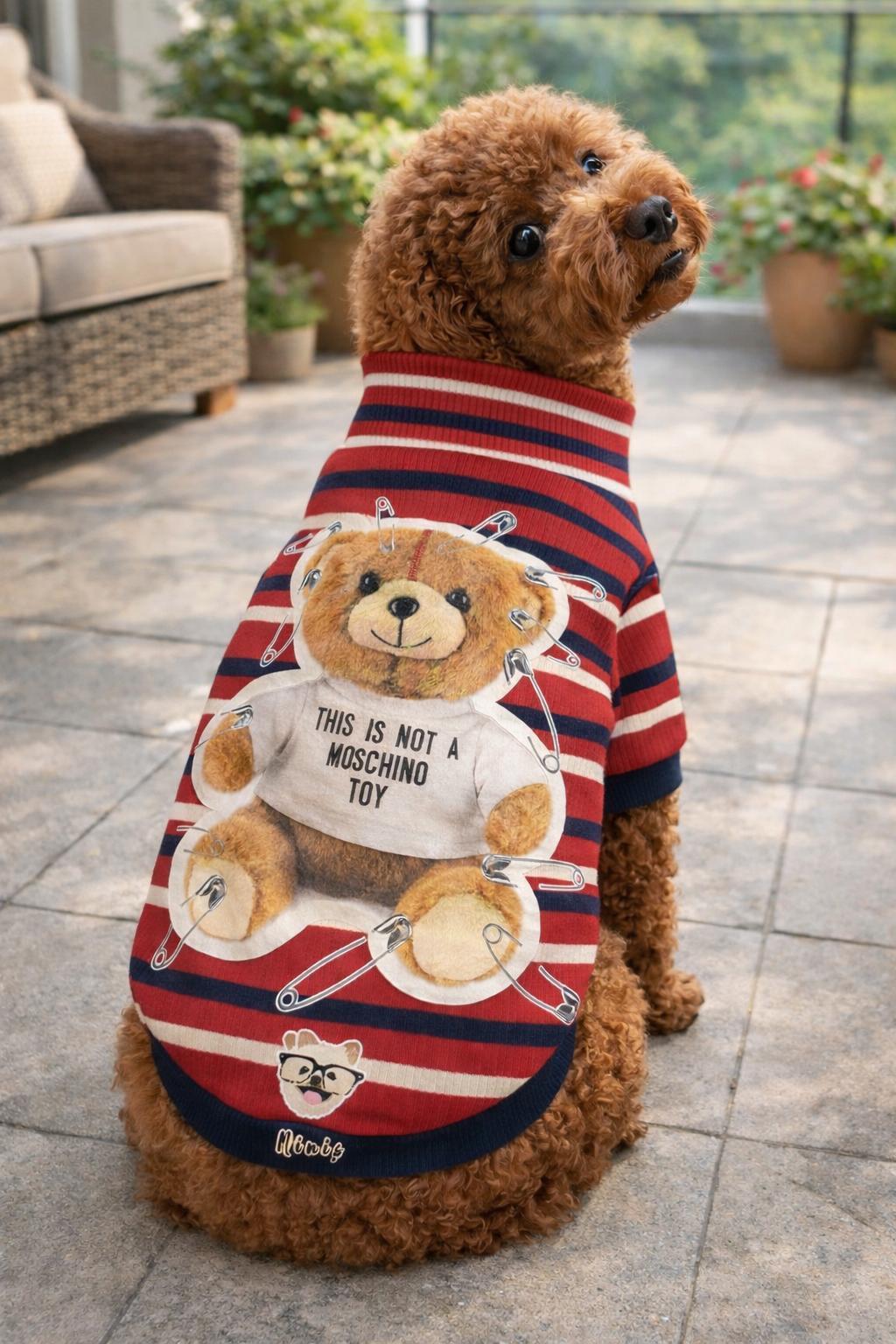 Toy Teddy Esnek, Küçük Köpek Triko Sweatshirtü