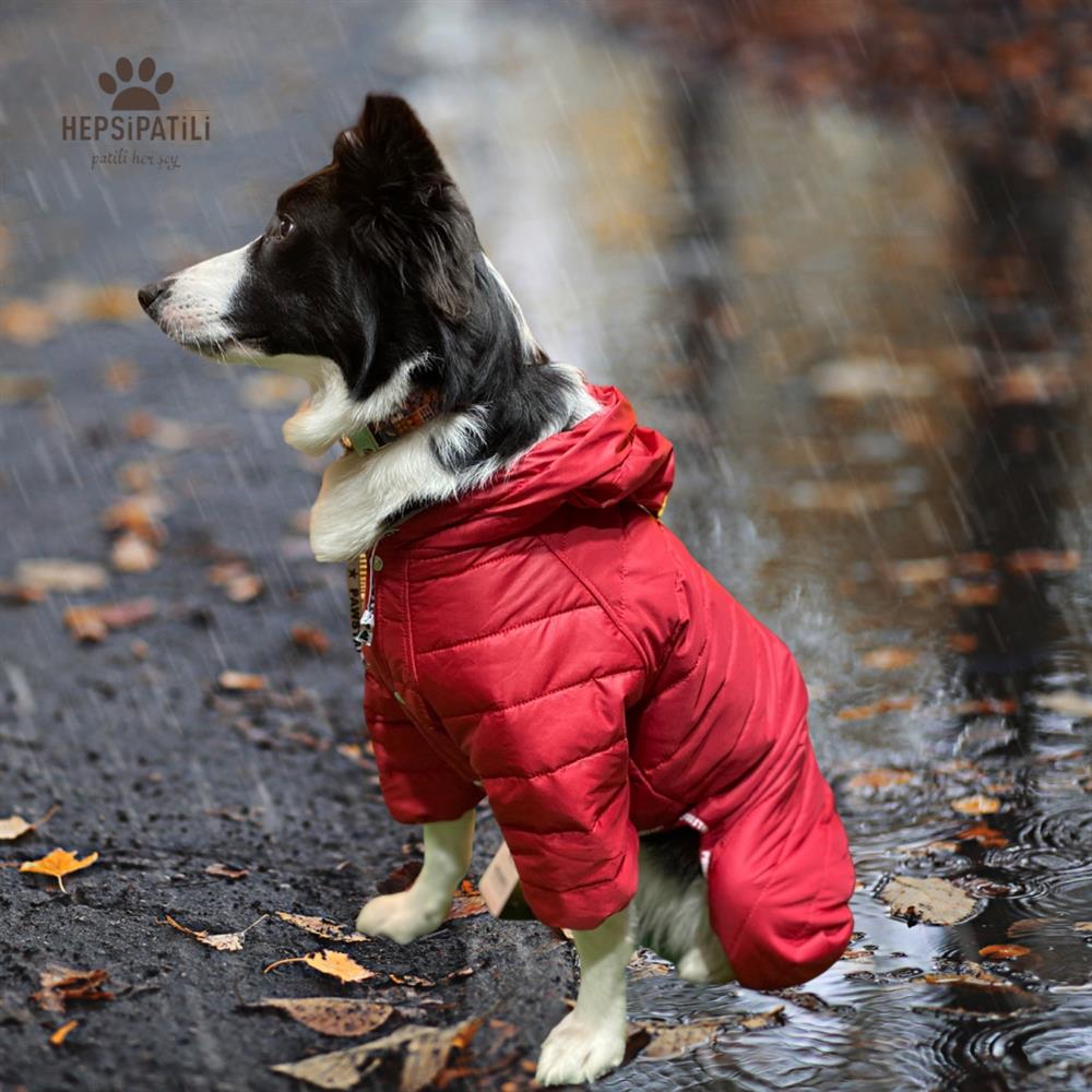 Pawstar Sport Orta-Büyük Irk Köpek Yağmurluk Tulumu Kırmızı