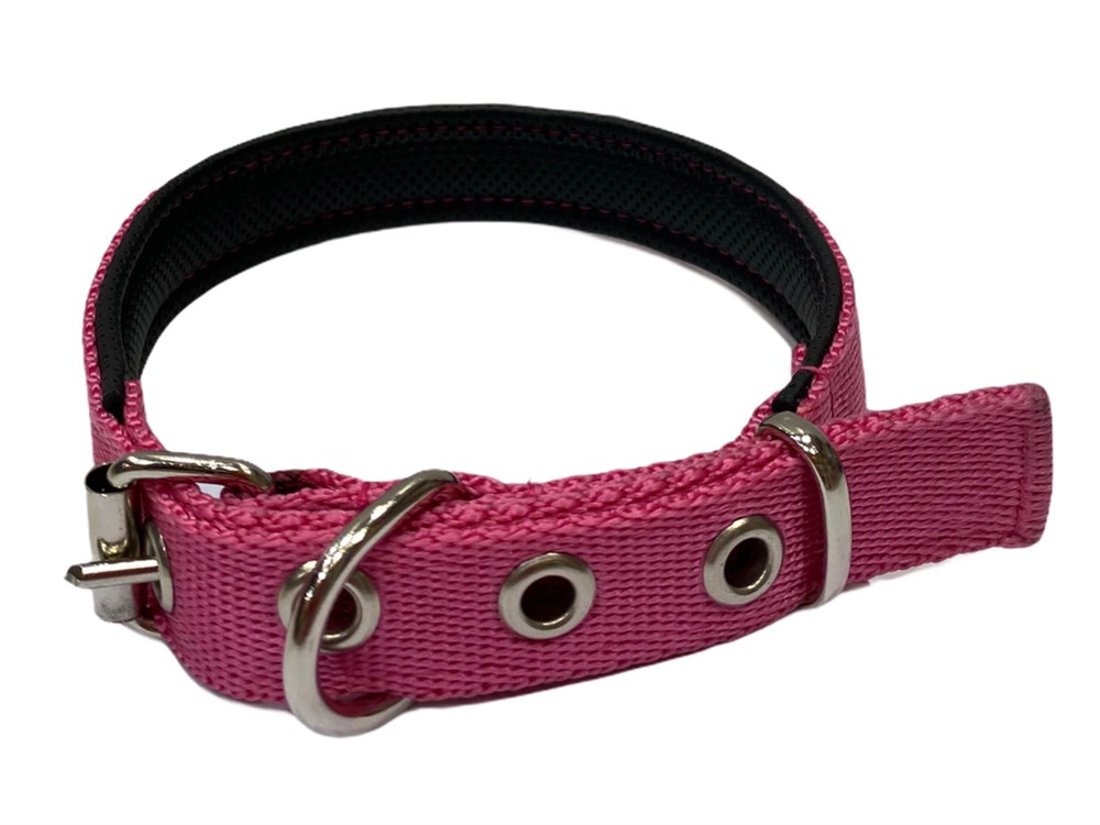 Pembe Köpek Boyun Tasması 2 cm x 40-46 cm