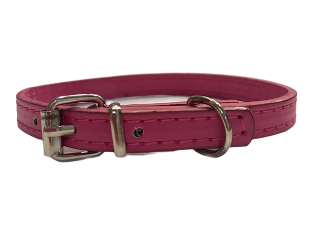Pembe Deri Kedi ve Köpek Boyun Tasması
