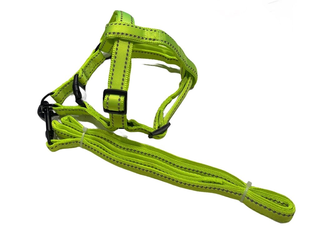 Doglife Neon Sarı Fosforlu Göğüs ve Gezdirme Tasma Seti (göğüs 35-50 cm)