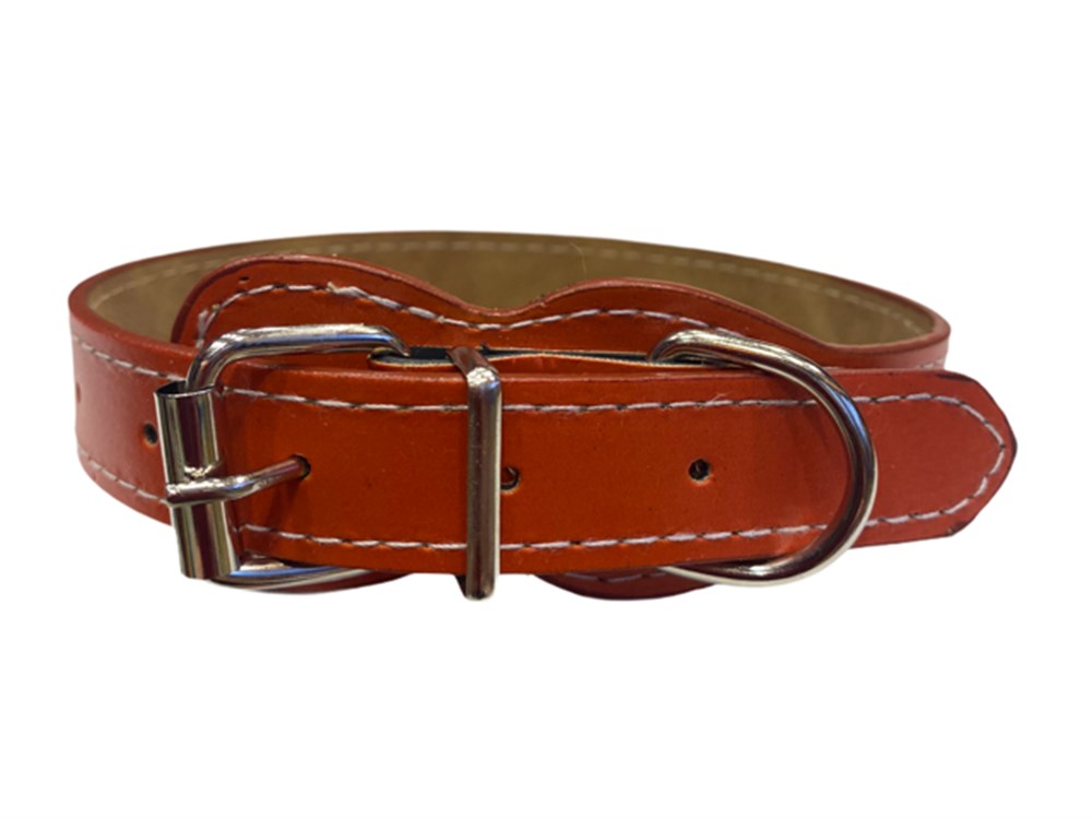 Turuncu Deri Köpek Boyun Tasması 2 cm x 30-43 cm