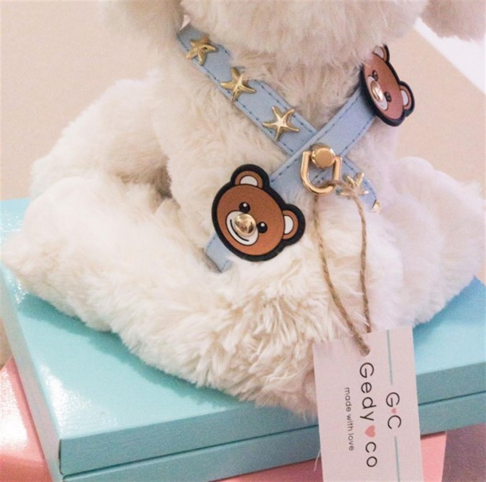 Gedyco Blue Bear Küçük Irk Köpek Göğüs Tasması