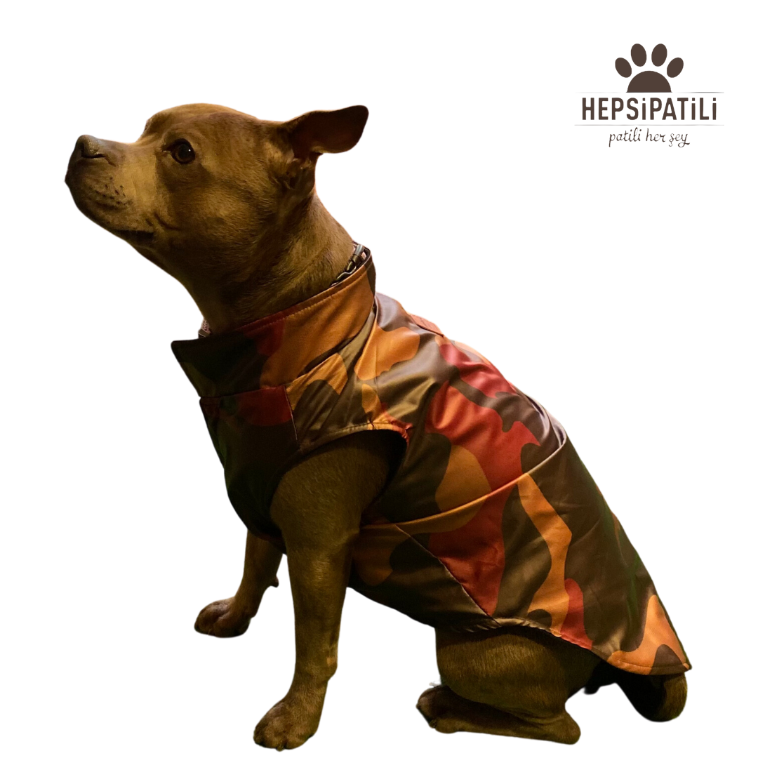 Alphadog Dore Kamuflaj Vest Küçük Irk Köpek Yağmurluğu