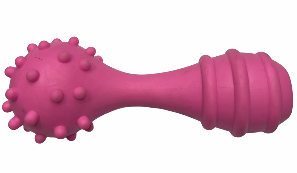 Zilli ve Kabarcıklı Pembe Kauçuk Dumbell Köpek Diş Kaşıma Oyuncağı 13 cm