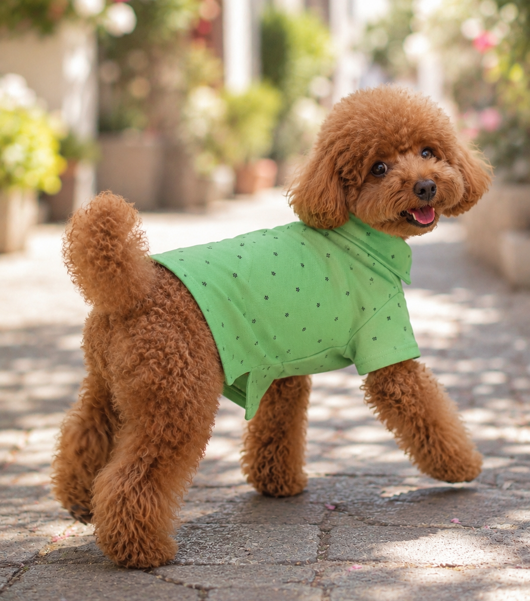 Miniş Green Küçük Irk Köpek Pike Kumaş Polo T-shirt