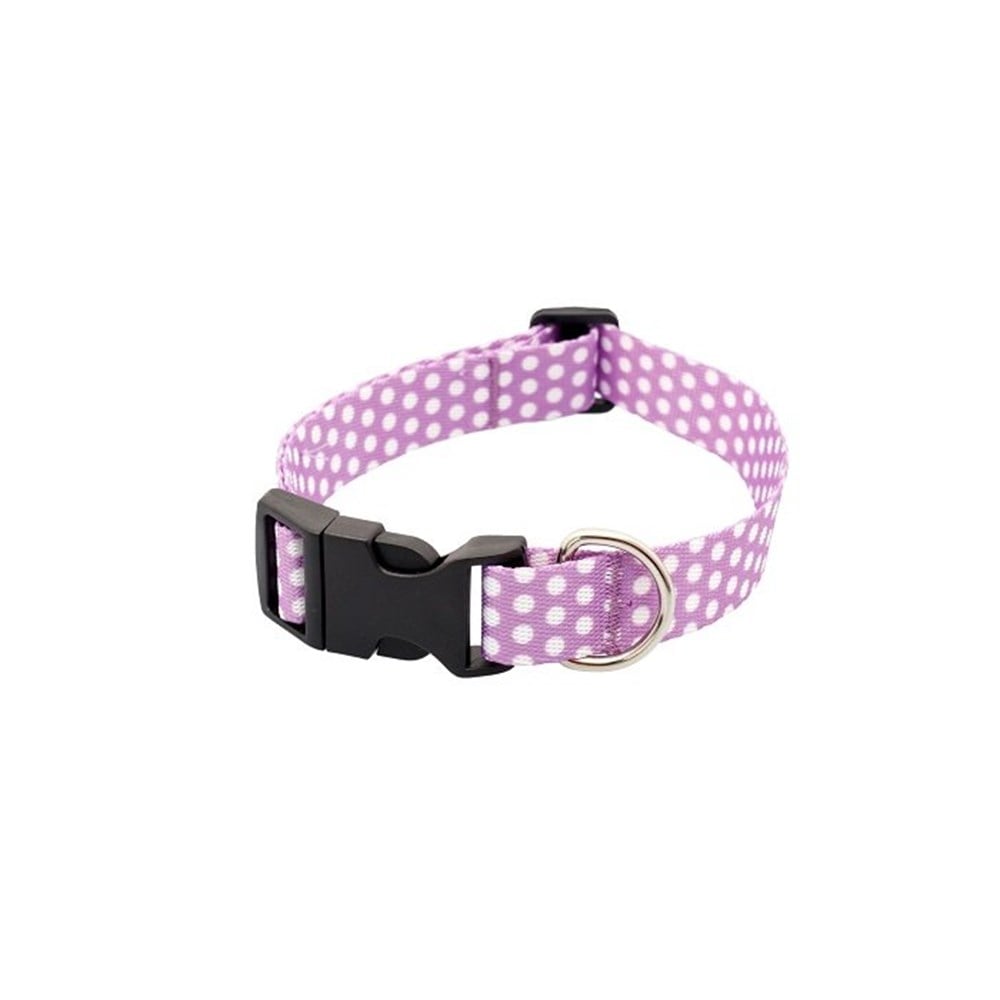 Puantiyeli Lila Küçük Irk Köpek Boyun Tasması M (Boyun 25 cm x 40 cm) / 2 cm