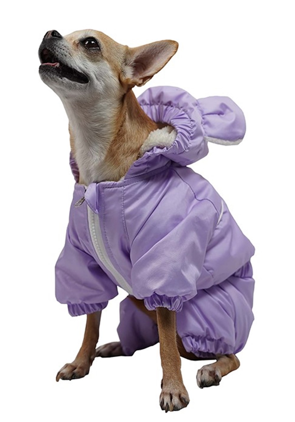 Pawstar Lila Aplysia Küçük Köpek Pofuduk Tulumu