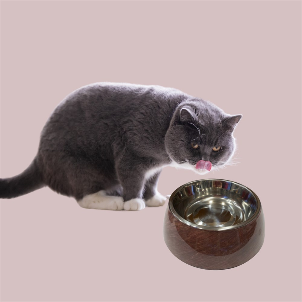 Ahşap Desen Çelik Mama ve Su Kabı 480 ml