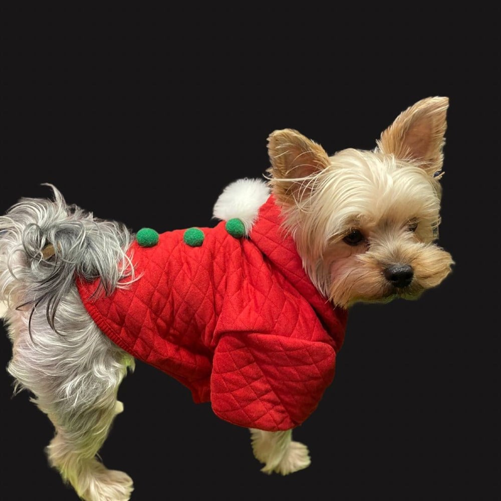 Köpek Yılbaşı Sweatshirtü