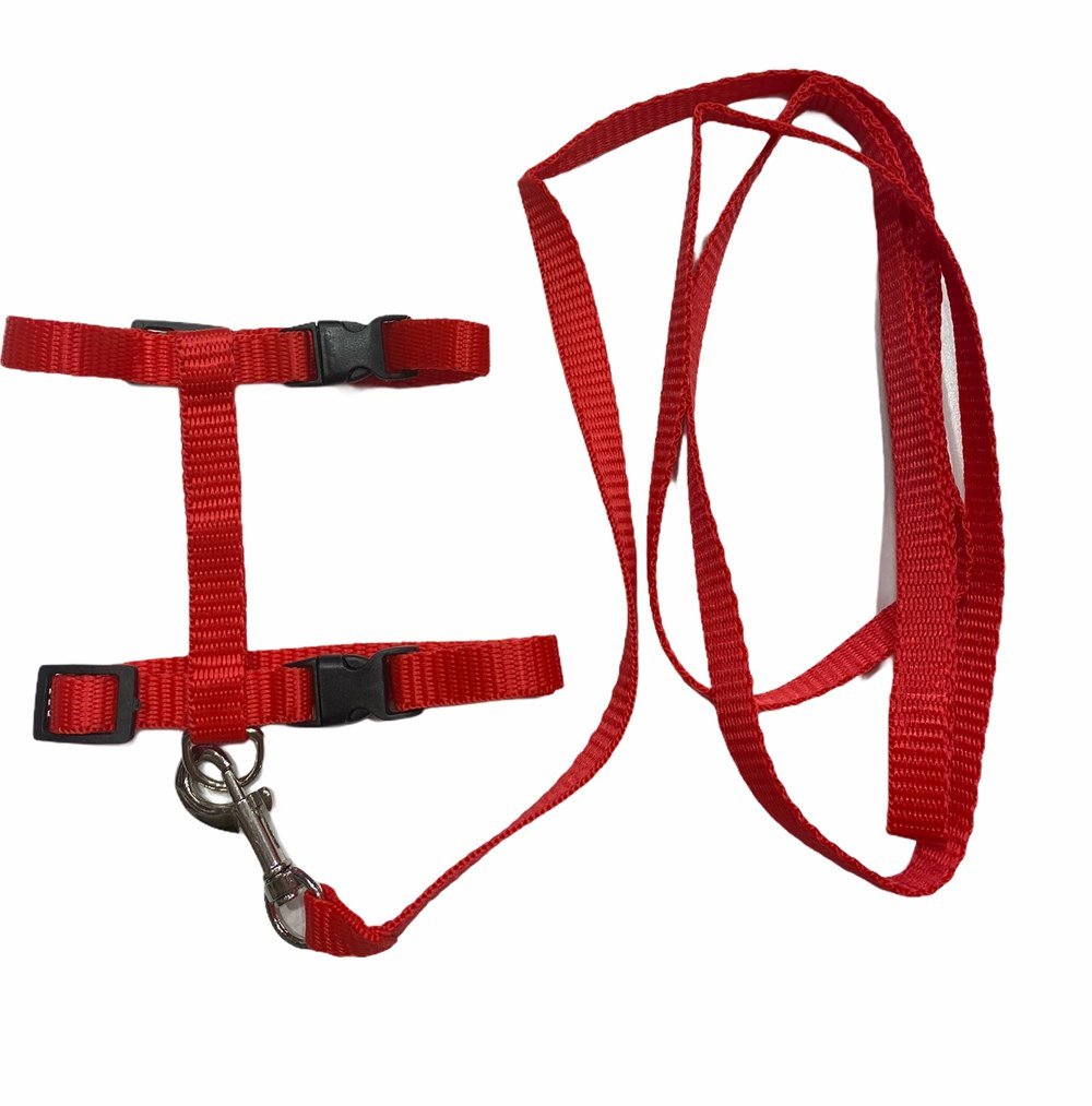 Kırmızı Kedi ve Köpek Gezdirme Kayışı ve Göğüs Tasma Seti