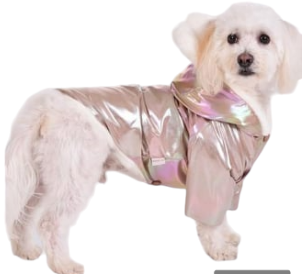 Gedyco Shiny Mocha Kalın Peluşlu Küçük Irk Köpek Montu