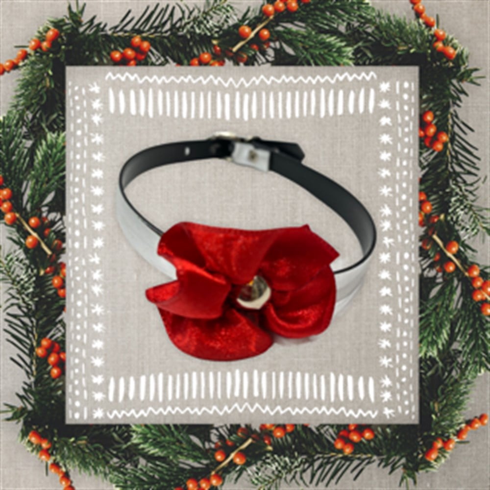 Kırmızı Çiçekli Kedi Boyun Tasması