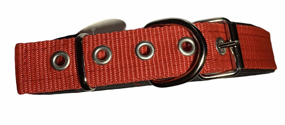 Kırmızı Köpek Boyun Tasması 3 cm x 48-60 cm