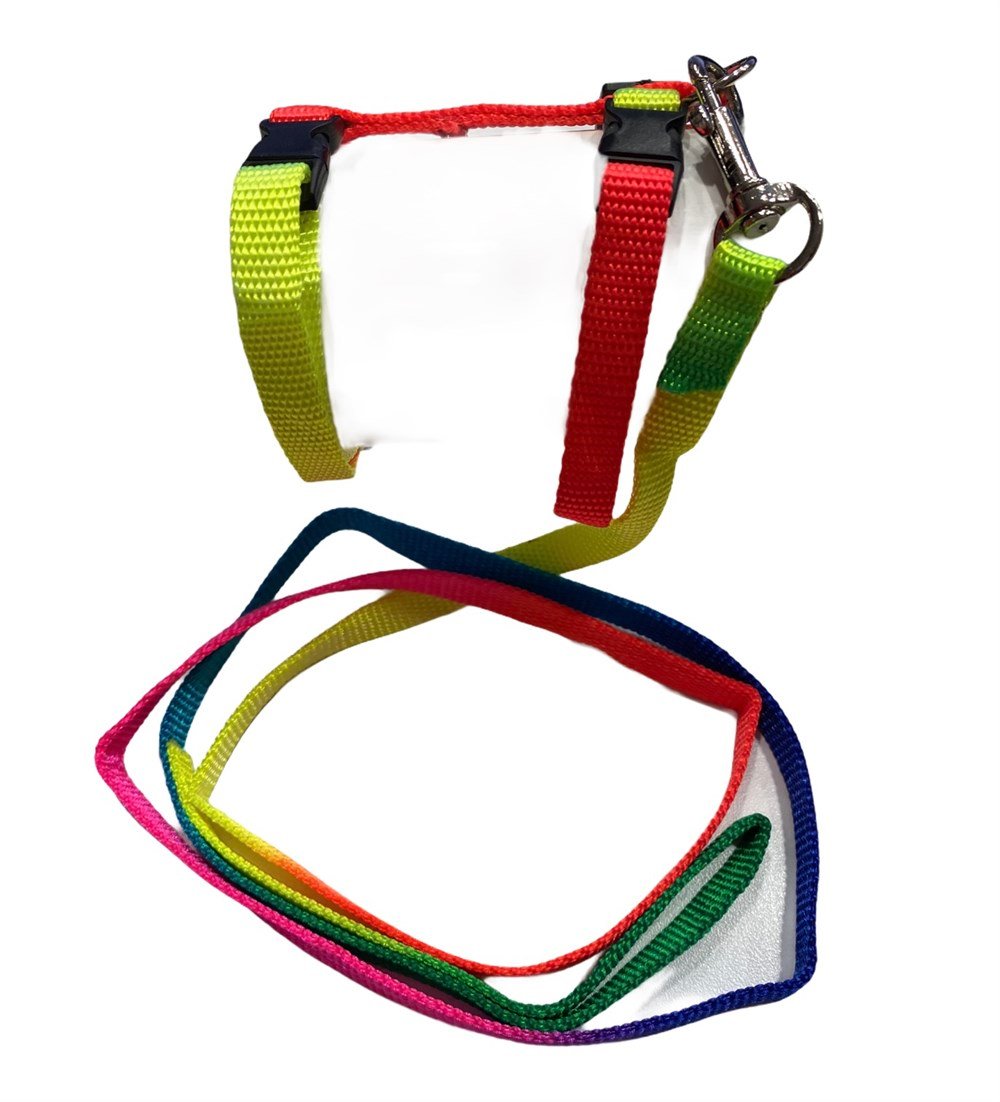 Gökkuşağı Kedi ve Köpek Gezdirme Kayışı ve Göğüs Tasma Seti