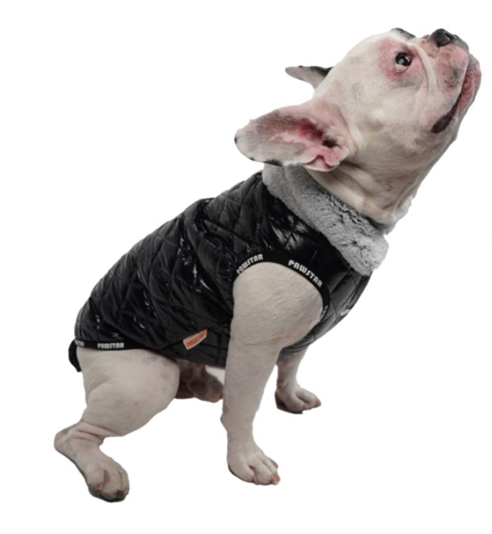 Pawstar Puff Siyah Küçük Köpek Montu