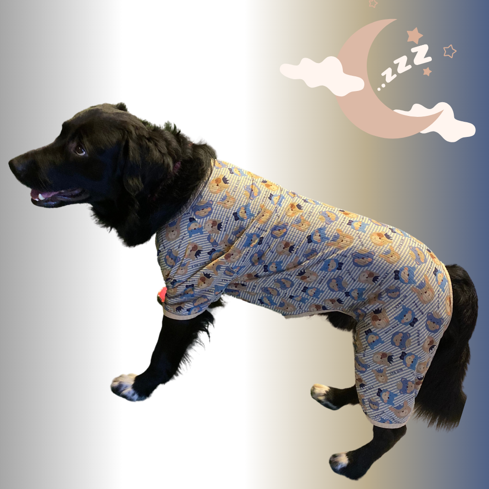 Gedyco Boys Rule Penye Büyük Irk Köpek Tulumu