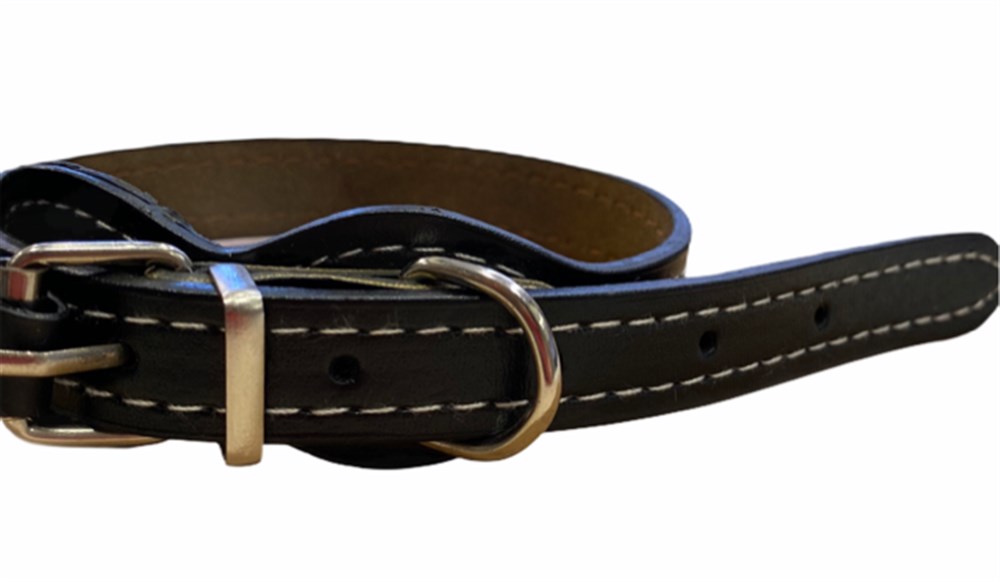 Doglife Siyah Deri Boyun Tasması 1,5 cm x 25-34 cm