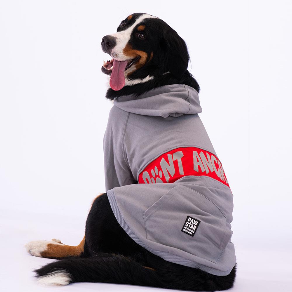 Pawstar Gri Angry Orta-Büyük Irk Köpek Fermuarlı Sweatshirt