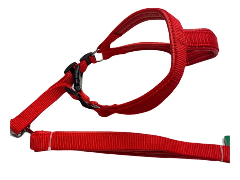 Orta Boy Yumuşak Dokulu Göğüs Tasması ve Gezdirme Kayışı Seti 2,5 cm x 120 cm (50 cm göğüs)