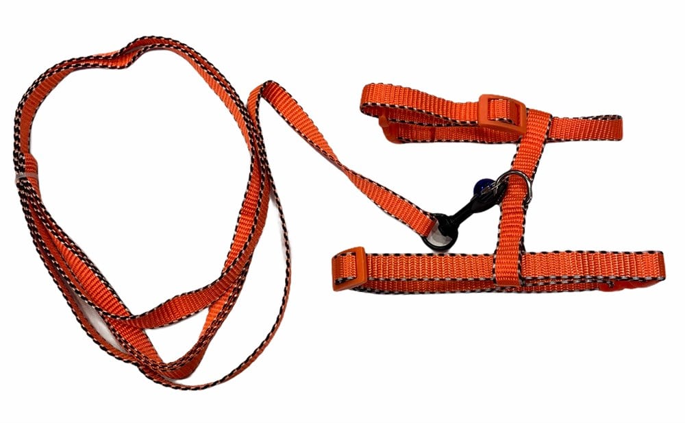 Reflektörlü Kedi ve Köpek Göğüs Tasma Seti Turuncu