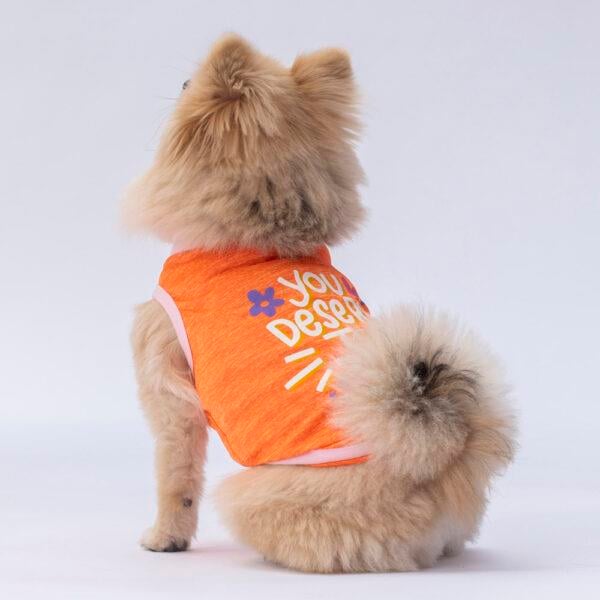 Pawstar Orange Joy Küçük Irk Köpek Penye T-shirt