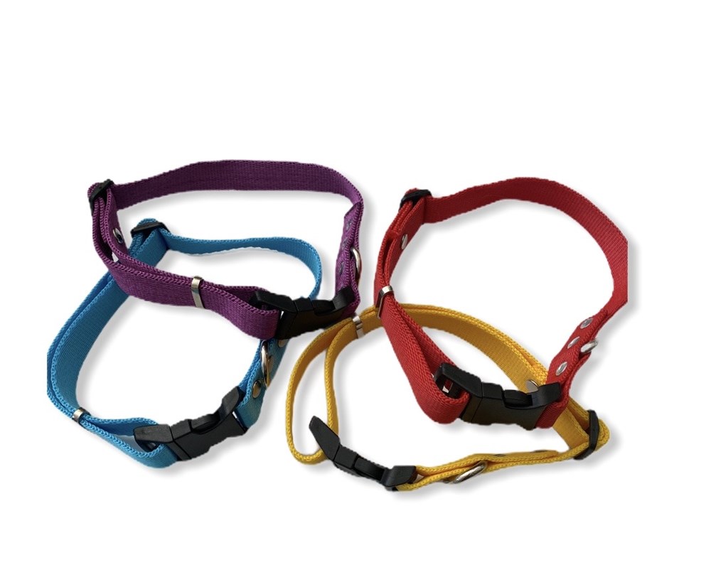 Klipsli Köpek Boyun Tasması 3 cm x 36-43 cm