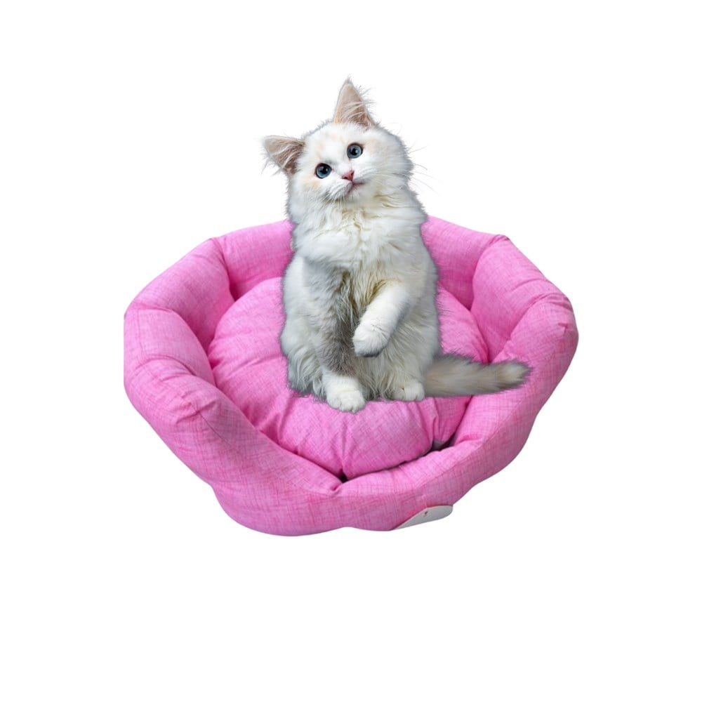 Kraliçe Kedi ve Köpek Yatağı