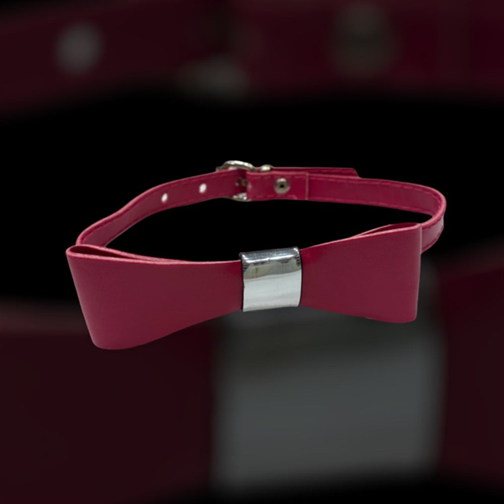 Pembe Fiyonklu Kedi ve Küçük Köpek Boyun Tasması