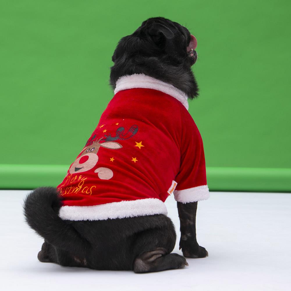 Pawstar Merry Christmas Küçük Köpek Yılbaşı Sweatshirtü