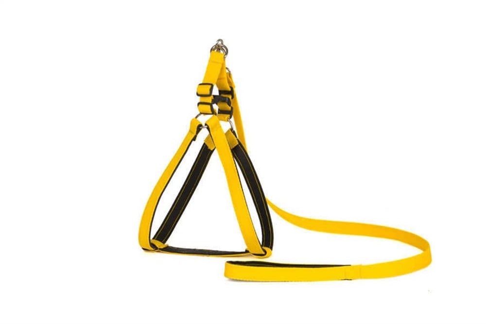 Büyük Boy Sarı Yumuşak Dokulu Göğüs Tasması ve Gezdirme Kayışı Seti 2 cm x 100 cm