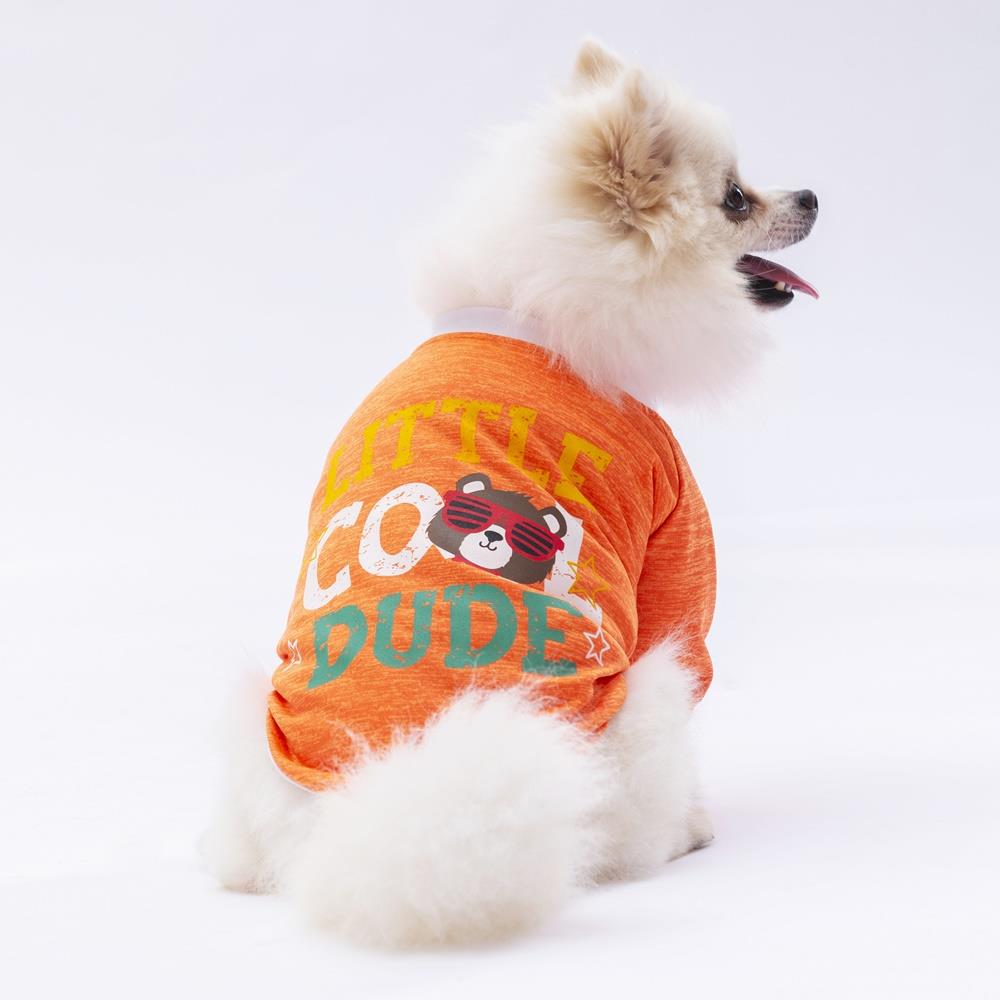 Pawstar Turuncu Dude Küçük Irk Köpek Penye T-shirt