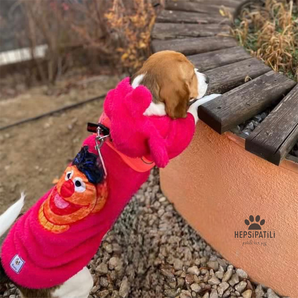 Muppets Kapüşonlu Pembe Peluş Küçük Köpek Sweatshirtü