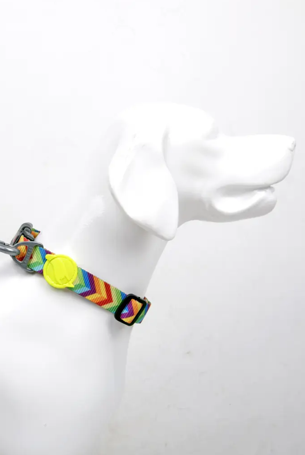 Tailpetz Rainbow L Orta-Büyük Irk Köpek Boyun Tasması (Boyun 40 cm x 65 cm)
